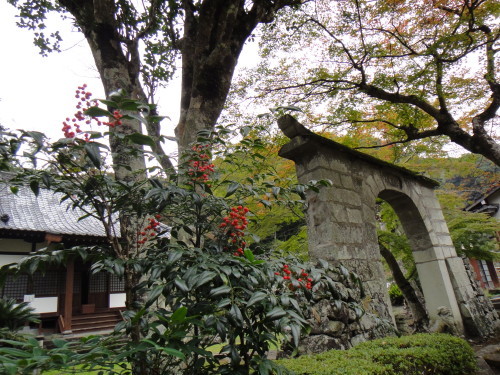 c0179351_21152007.jpg