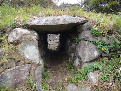 c0179351_21155501.jpg