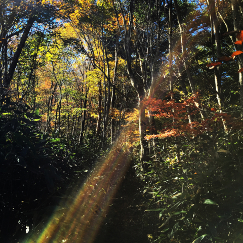 f0226152_16020529.jpg