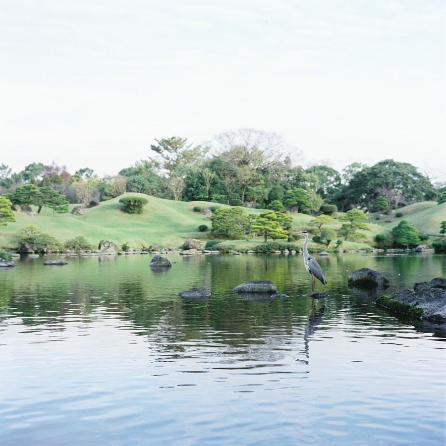 e0264158_11483181.jpg