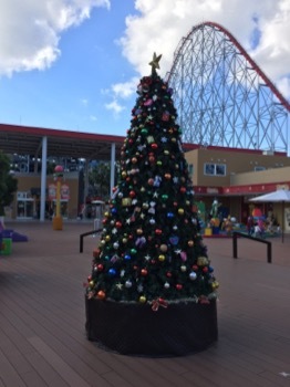 e0275660_17305428.jpeg