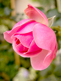 b0036363_2055034.jpg