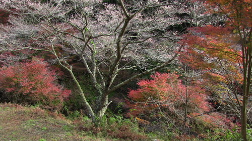 a0208066_15172935.jpg
