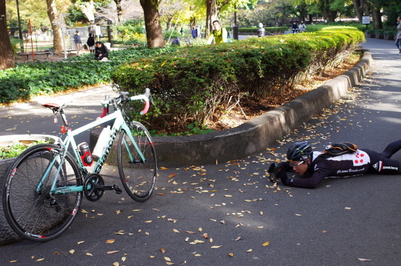a0232368_13342123.jpeg