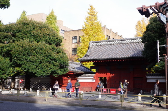 a0232368_13444939.jpeg