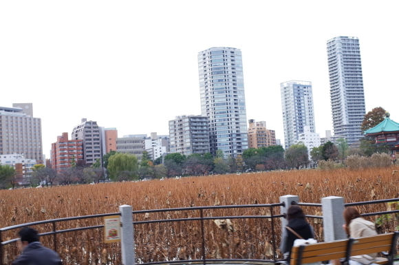 a0232368_17524066.jpeg