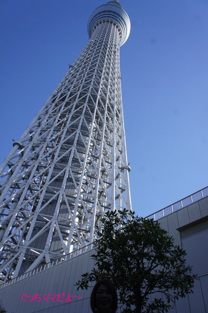 c0163878_1533020.jpg