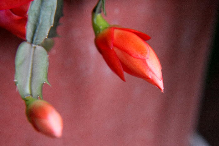 b0171185_17175635.jpg