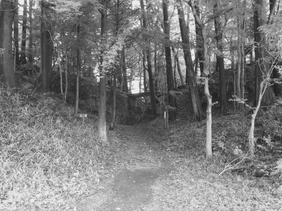 e0307890_00042852.jpg