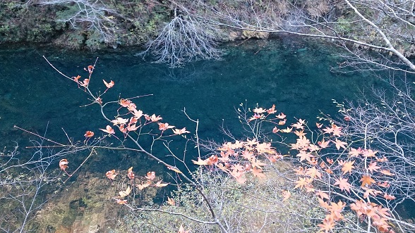 f0202990_1702877.jpg