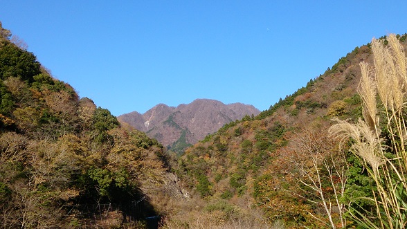 f0202990_17261472.jpg