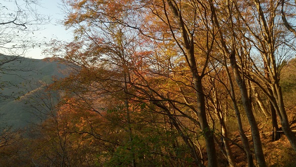 f0202990_17301521.jpg