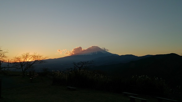 f0202990_1730252.jpg