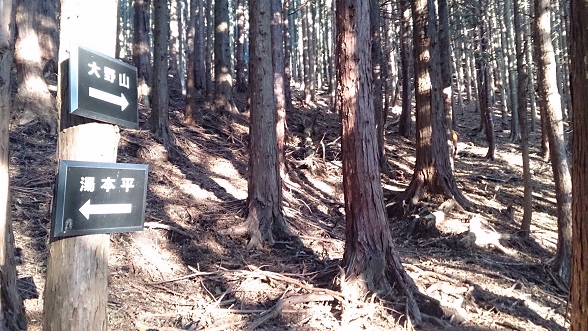 f0202990_1730448.jpg