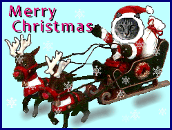 f0137694_220213.gif
