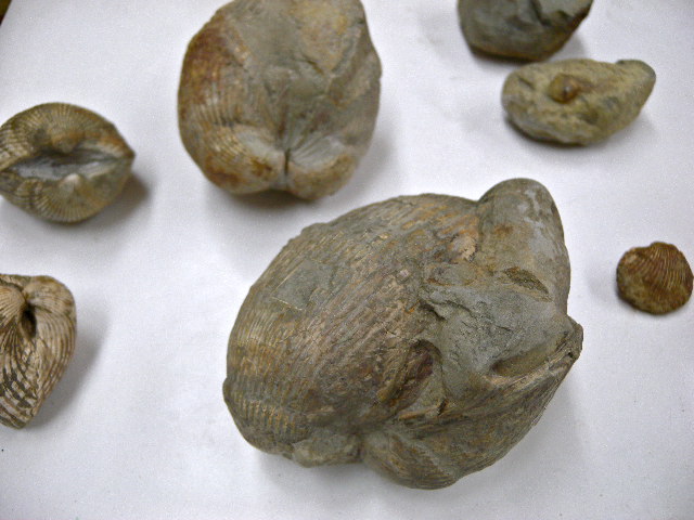 a0199297_22593070.jpg