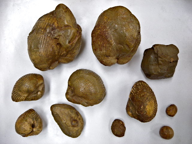 a0199297_23105375.jpg