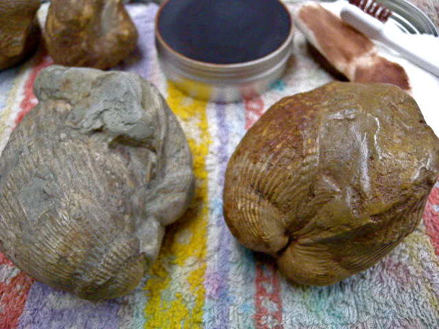 a0199297_2392551.jpg
