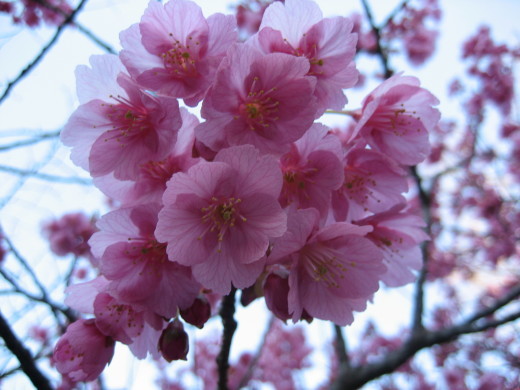 f0201297_22342693.jpg