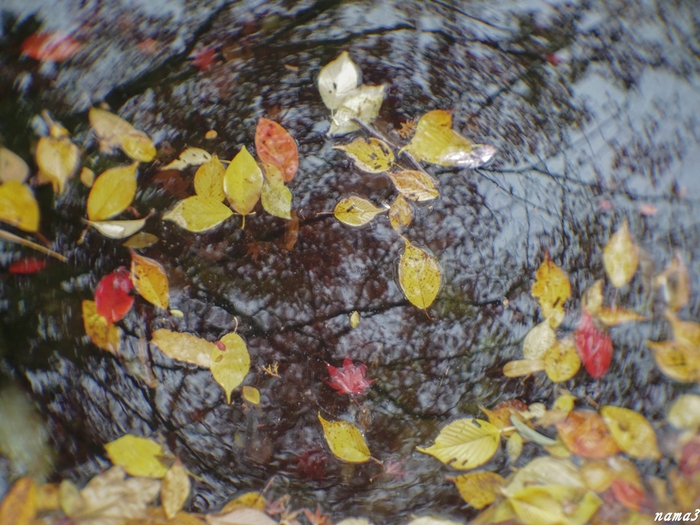 f0224100_2243192.jpg