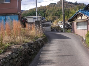 d0240201_15354324.jpg