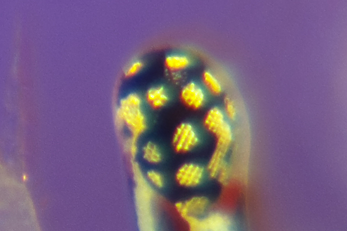 a0060407_17495059.jpg