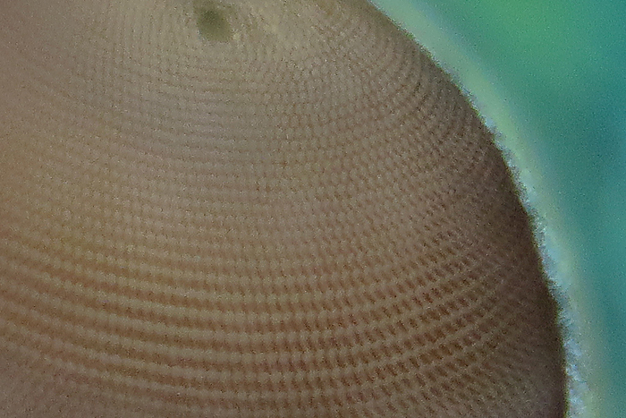 a0060407_1750551.jpg