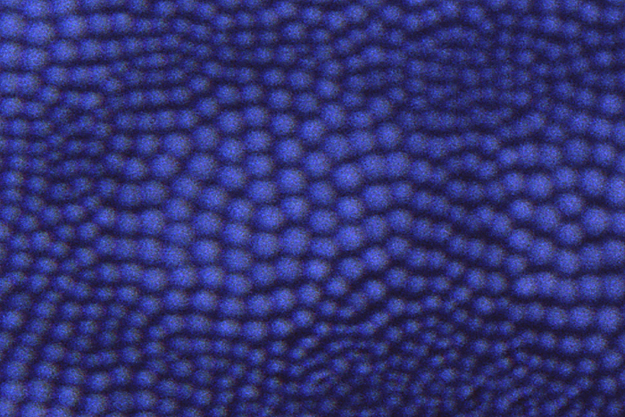 a0060407_1751146.jpg