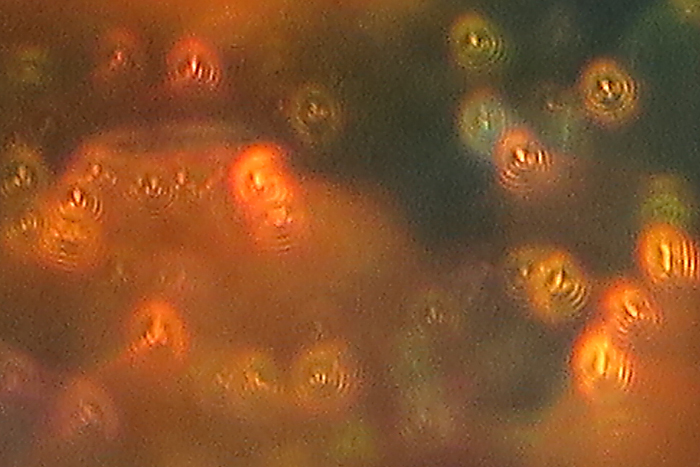 a0060407_1753238.jpg