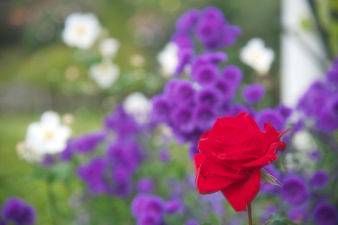 a0263109_20292146.jpg