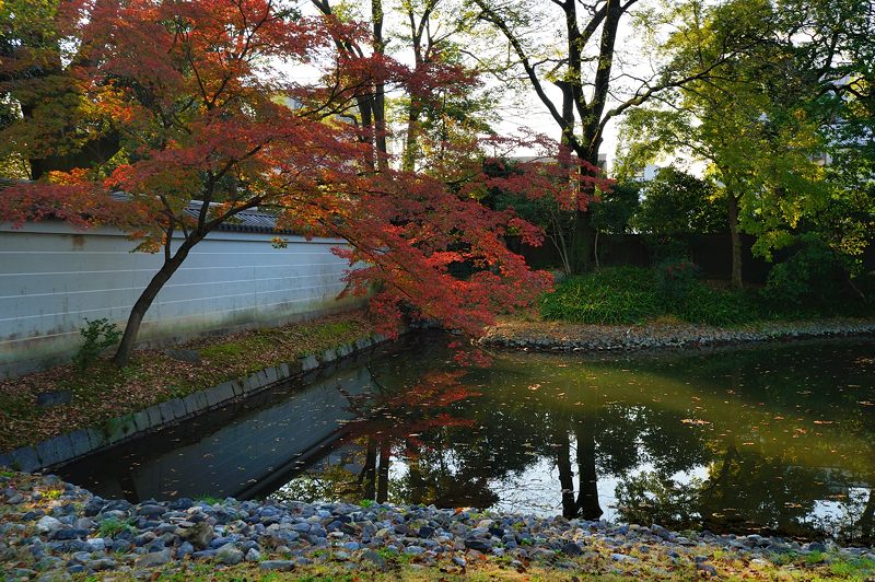2015京都の紅葉・御所　其の三 - デジタルな鍛冶屋の写真歩記