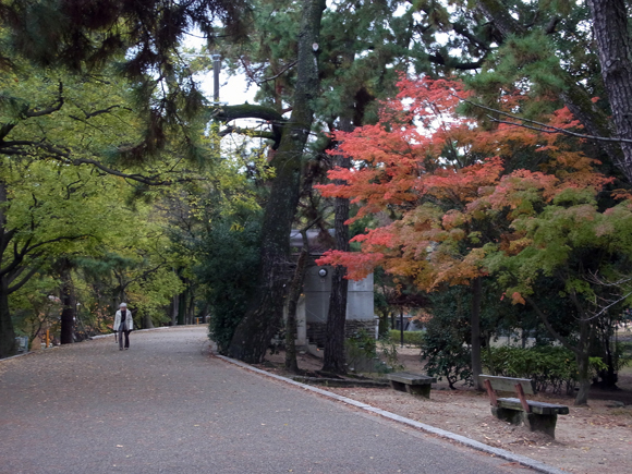e0083517_16214873.jpg