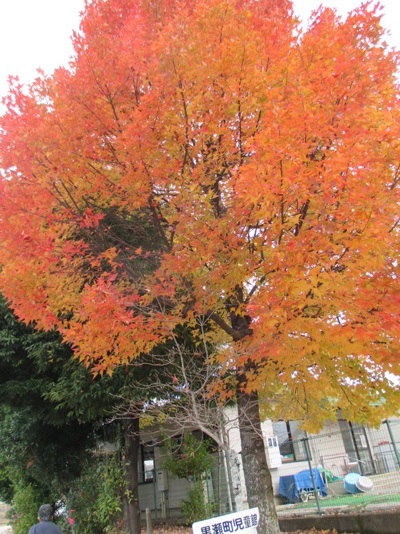 c0197220_10101637.jpg