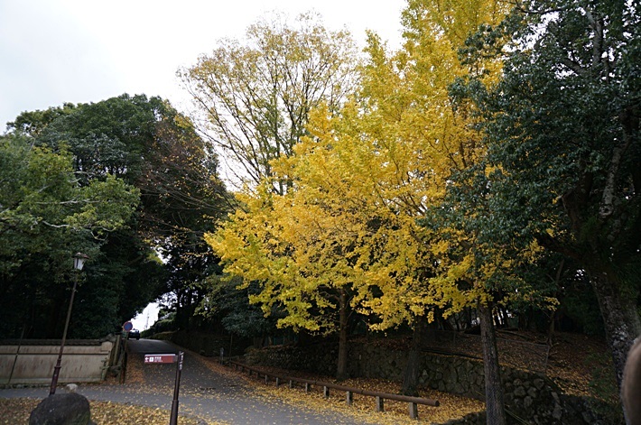 b0068423_22144464.jpg
