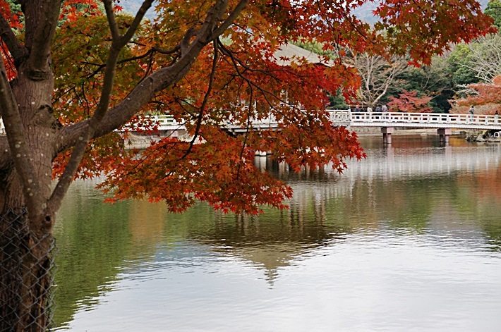 b0068423_2235580.jpg