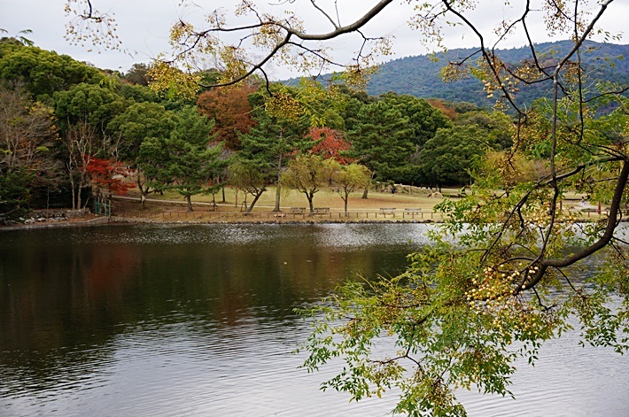 b0068423_2242155.jpg