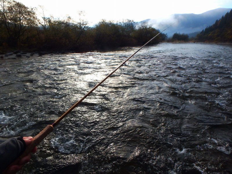 d0091323_11565023.jpg