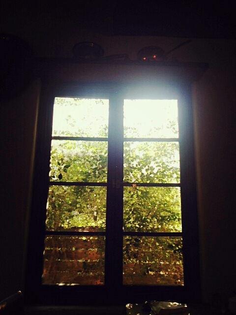 c0296630_10013594.jpg