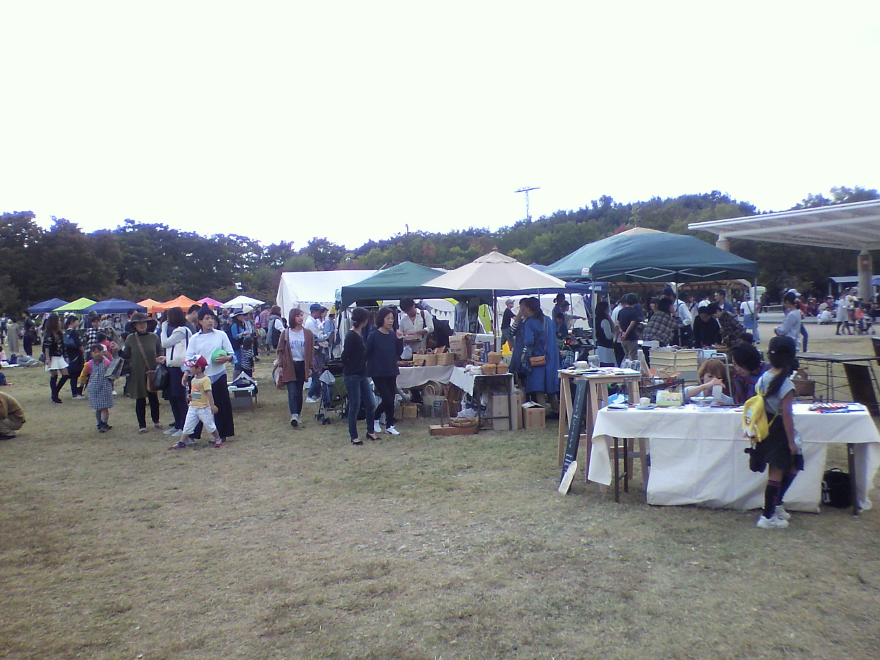 a0235137_8593532.jpg