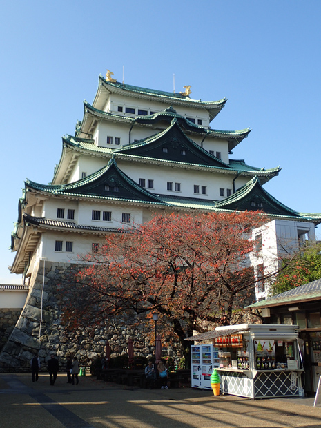 f0214649_525441.jpg
