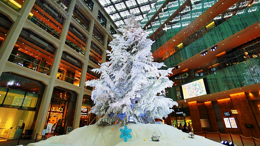c0350754_20104521.jpg