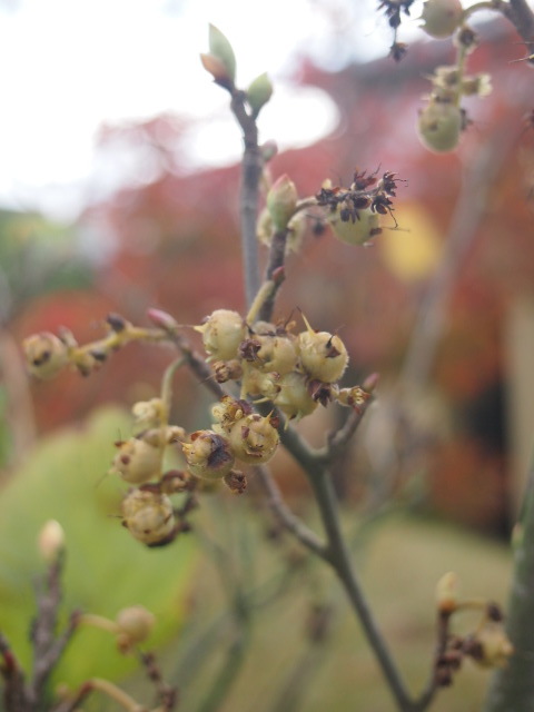 b0246758_13290035.jpg