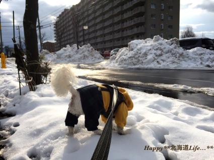 a0337860_14511195.jpeg