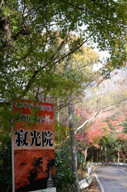 c0367473_19521889.jpg
