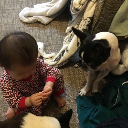 d0041575_22014709.jpeg