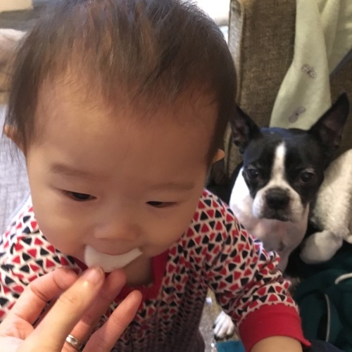 d0041575_22051644.jpeg