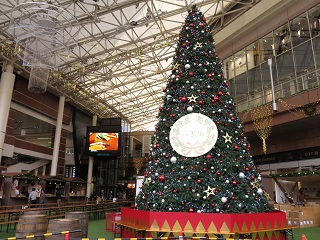 e0130185_19263379.jpg