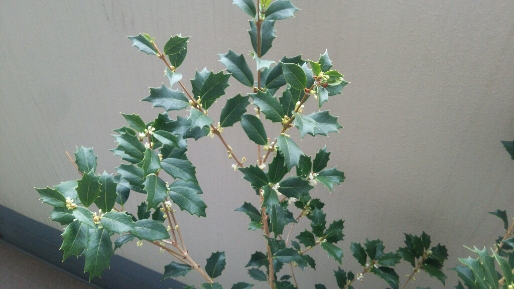 c0109891_08435065.jpg