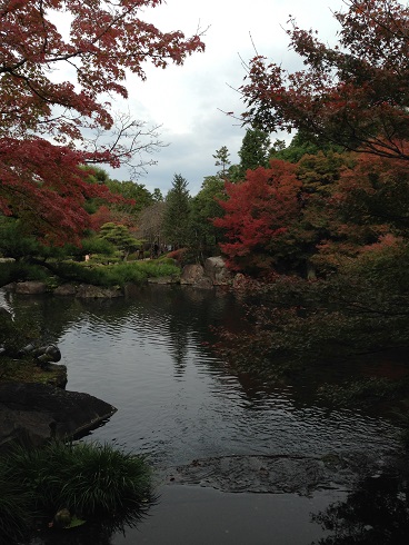 c0046316_23846.jpg