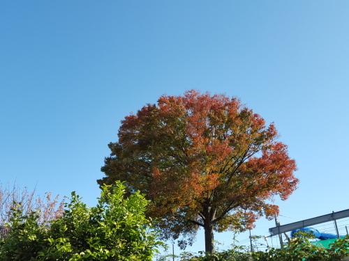 e0016828_12152141.jpg